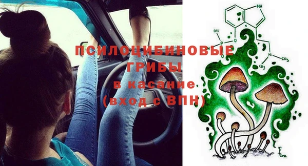 дурь Алексеевка