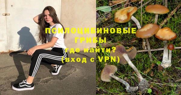 кокс Алзамай
