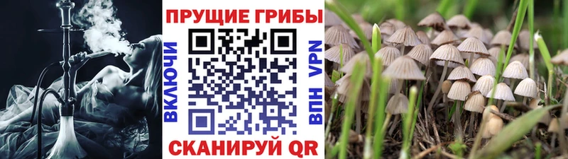 Галлюциногенные грибы Magic Shrooms  кракен маркетплейс  Кохма 