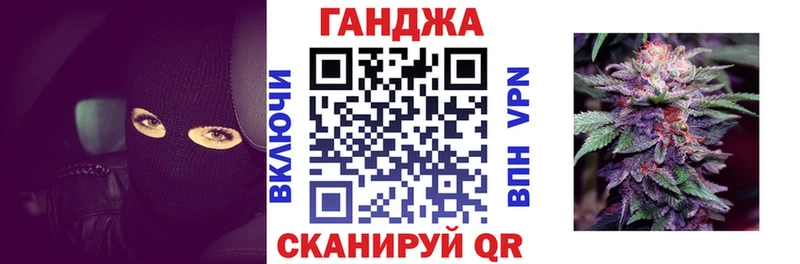 Конопля сатива  как найти закладки  Кохма 
